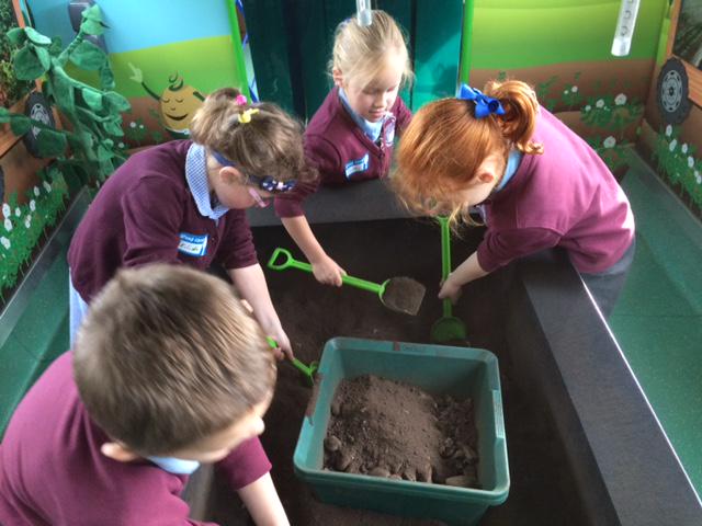 Billy Branston's Potato Bus visited <a href="/CorntonPrimary1/">Cornton Primary</a>. P7 and P2 had great fun and learned loads about potatoes!