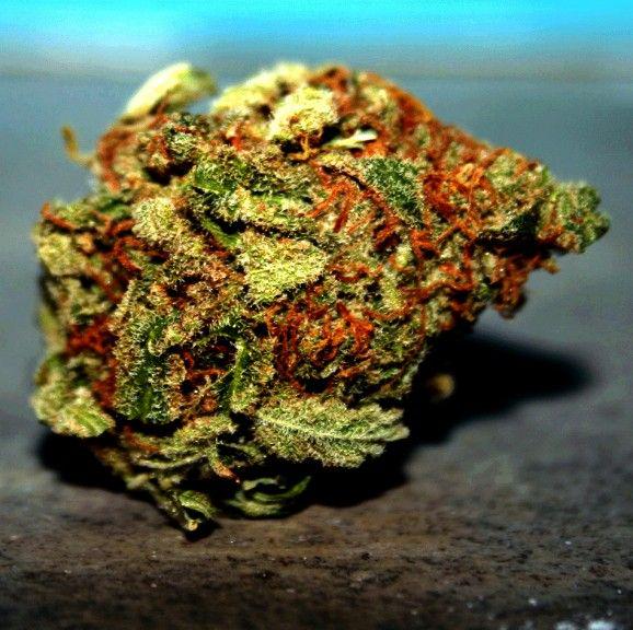 PotValet's tweet photo. Medical marijuana is a great alternative to this as it doesn't pose any risks of addiction compared to conventional http://t.co/km7idLptww