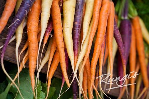 Ontdek het verhaal achter de oergroenten van Rungis op de Proefdag 't lekkerst van de winter! #13okt #seizoensgroente