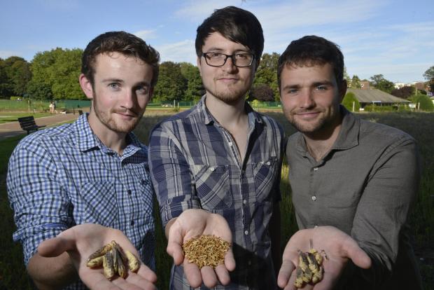 BrightonPL's tweet image. Bug’s world brightonproductlab.wordpress.com/2015/09/07/bug…