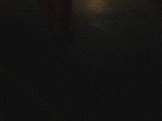 LaMulaSQV's tweet photo. #LaMulaSQV #11AnysDeCorrebars http://t.co/QCBKdTcsdC