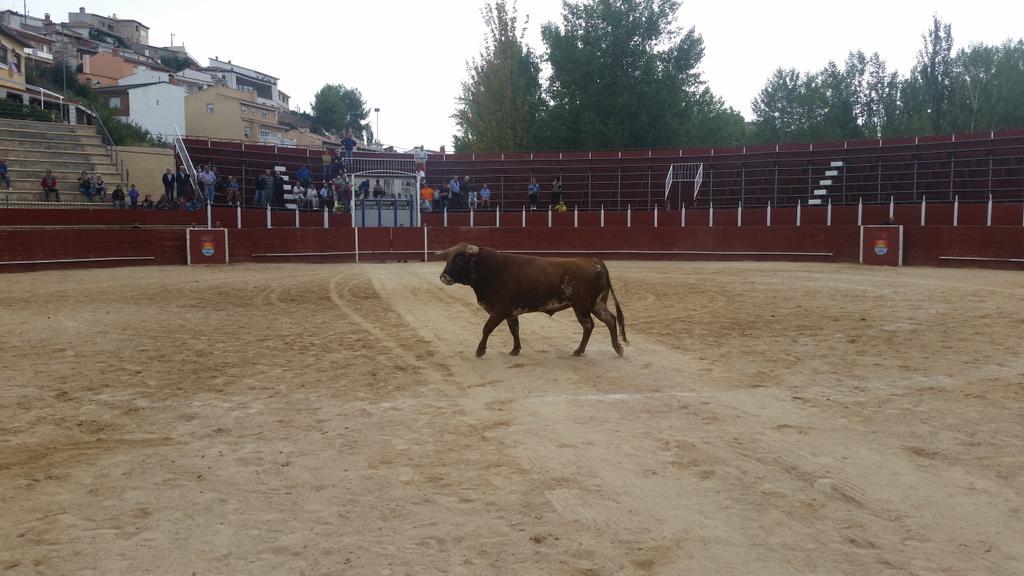 Todo preparado, el tiempo nos va a respetar asique no hay excusa. No te lo pierdas! #Trillo Hoy a las 18:00h! #Ganas