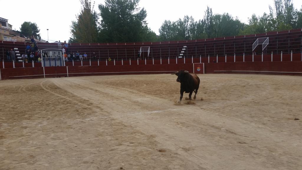 sergio_rec4's tweet photo. Todo preparado, el tiempo nos va a respetar asique no hay excusa. No te lo pierdas! #Trillo Hoy a las 18:00h! #Ganas http://t.co/UgDTT9Qmzq