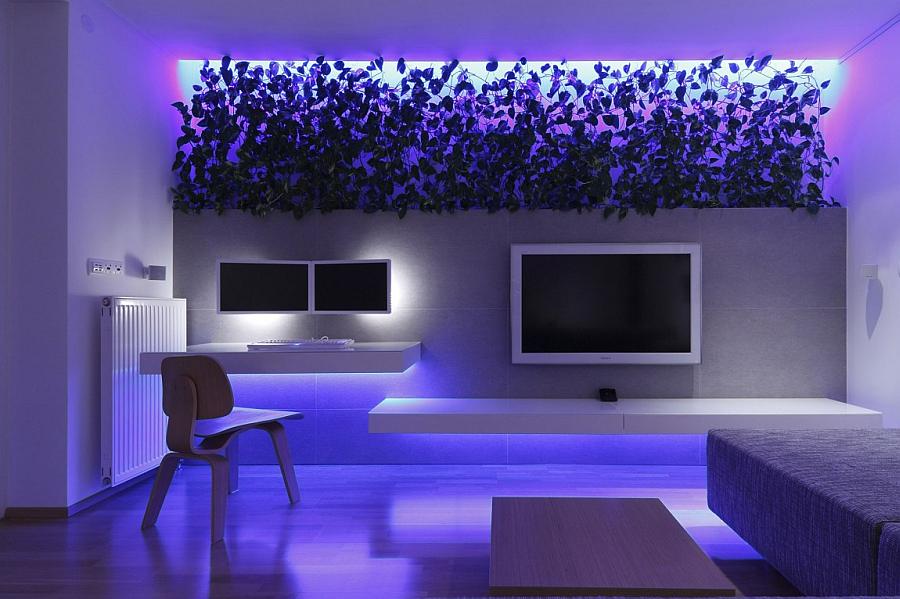 TheBulbCO_LED's tweet photo. Mondays LED! http://t.co/vrEoFfsQq0
#led #ledlights #leddesigns #thebulbco #bulbco #manchesterled http://t.co/9KjnWtVS46