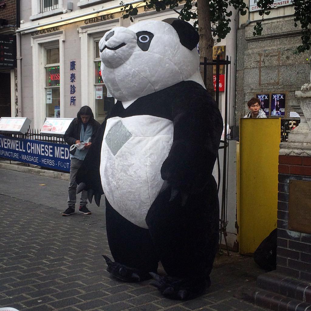 HugoCGuerra's tweet photo. Random Panda in Chinatown... #WeirdPanda #Panda http://t.co/wo5iGyrcgy