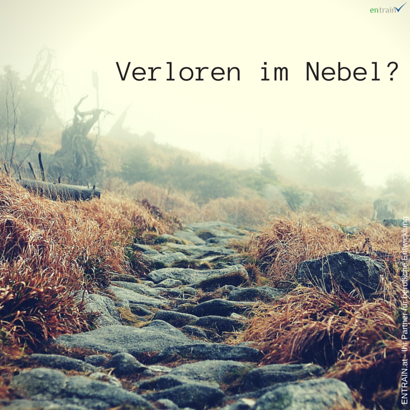 lukas_brunbauer's tweet photo. Verlieren Sie sich im Nebel! Sie haben das Zeug da raus zu kommen! http://t.co/FXSbLJFamB