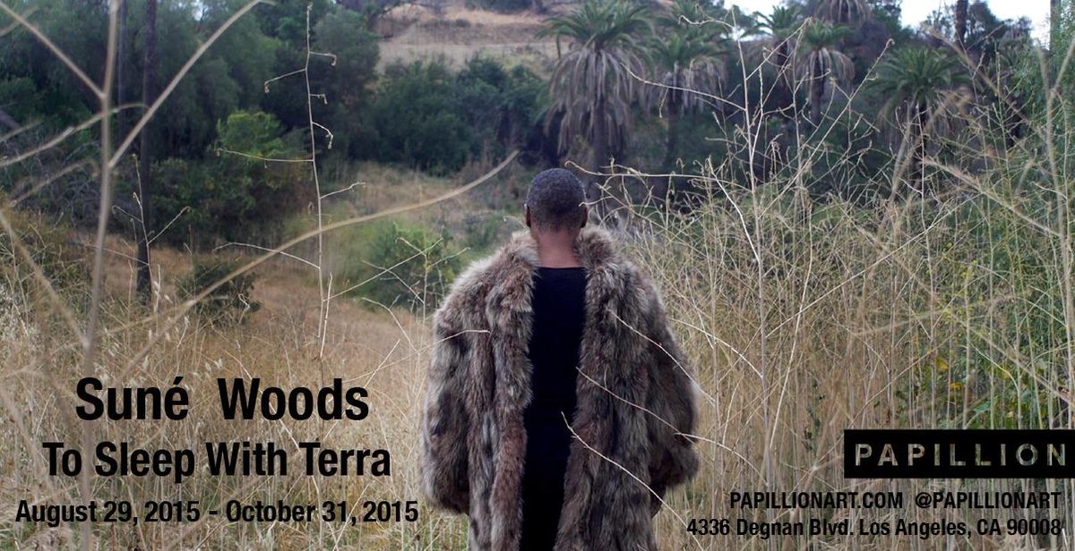 LPVillage's tweet photo. Suné Woods opens 8/29 with her first solo exhibition in the space, "To Sleep With Terra" - http://t.co/W0FoIk8eno http://t.co/OjZDEnYzQO