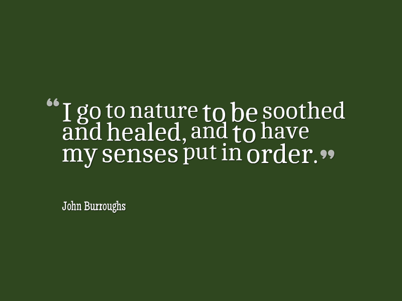 TheBestofExmoor's tweet photo. Nature is the perfect healer. #TheBestOfExmoor http://t.co/s7MmGPARf5