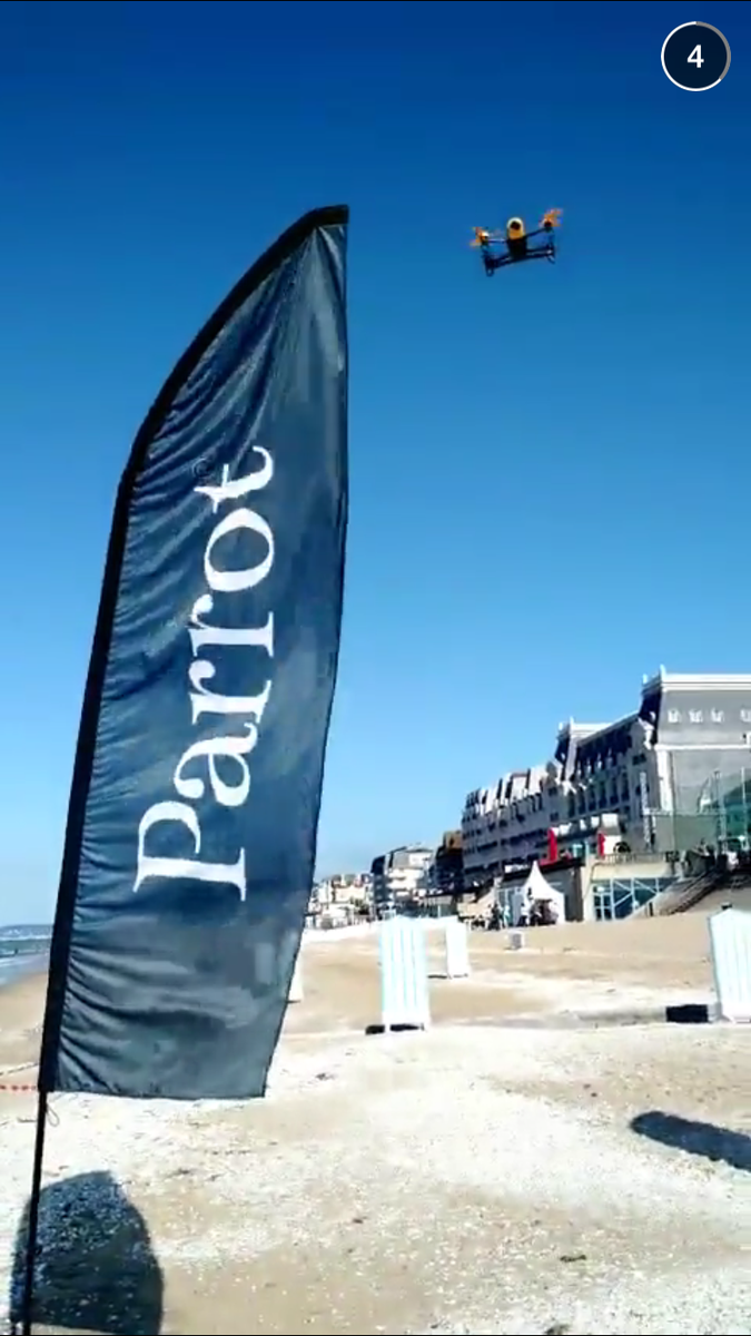 Parrot official tweet media