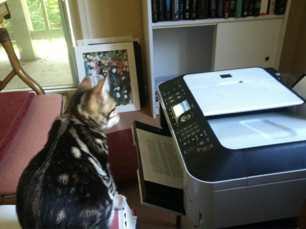 JoyceCarolOates tweet picture