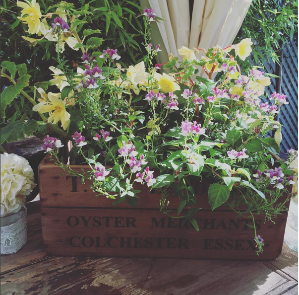 Old Brook Barn tweet media