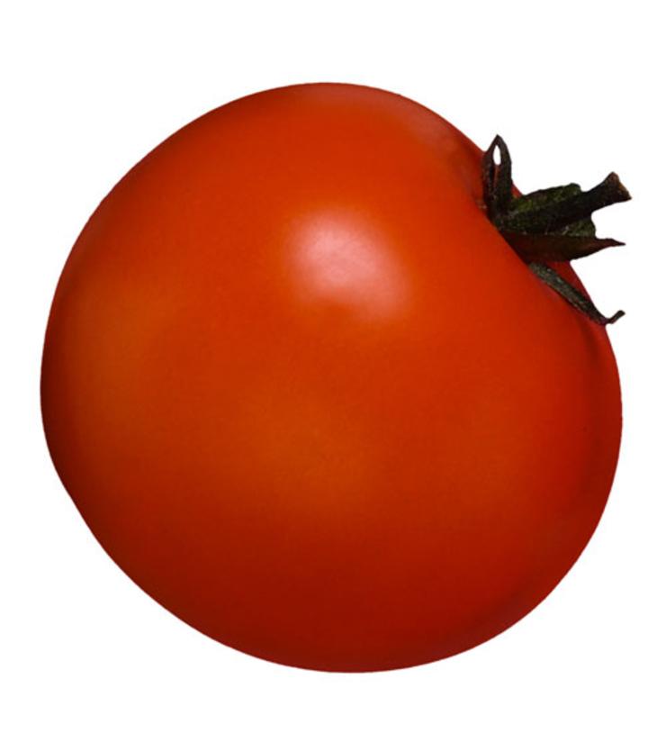 WomensHealthMag's tweet image. The 18 most important nutrients all women need: spr.ly/6018ByqlY