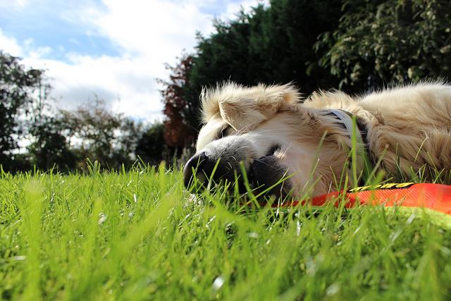 WagworldSA tweet media