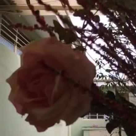 ax_cn's tweet photo. |REPLAY| #QuaresmadeSaoMiguel 24dia #HALLEL2015 #katch #Periscope http://t.co/L7689ZAl5o http://t.co/Pi7IhkCXHf