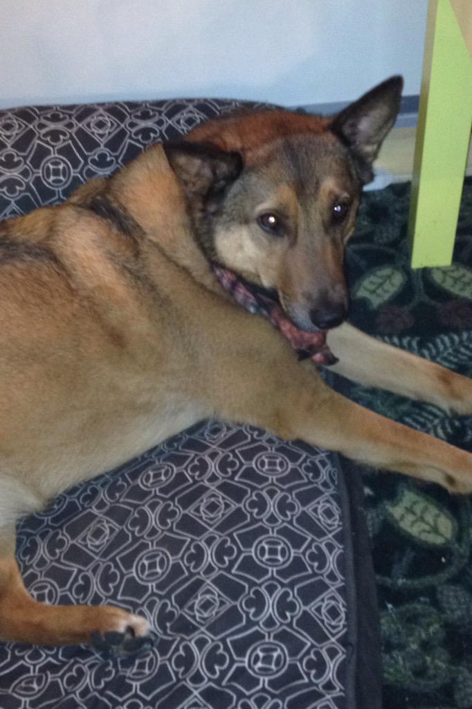 Puddy's working today!!