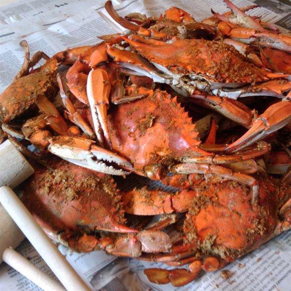 BrianFemi's tweet photo. Does not get much better than Labor Day on eastern shore. Helps for a #BummerFreeSummer and #sweepstakes http://t.co/FWQzVcED7Z