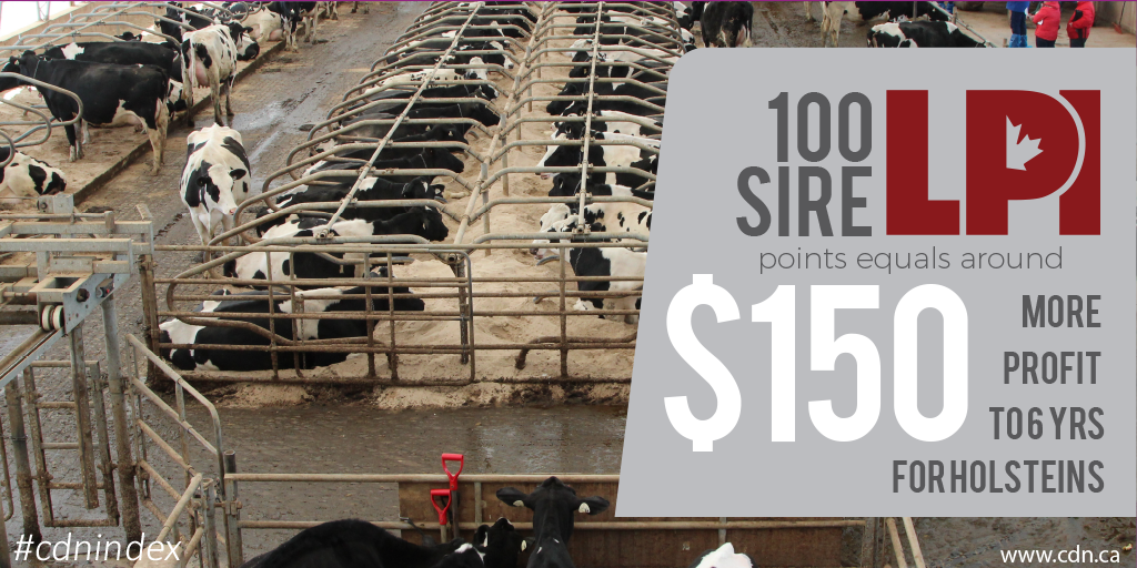 HolsteinCanada's tweet photo. How is LPI related to profit? #cdnindex http://t.co/cT47fzNVSD
