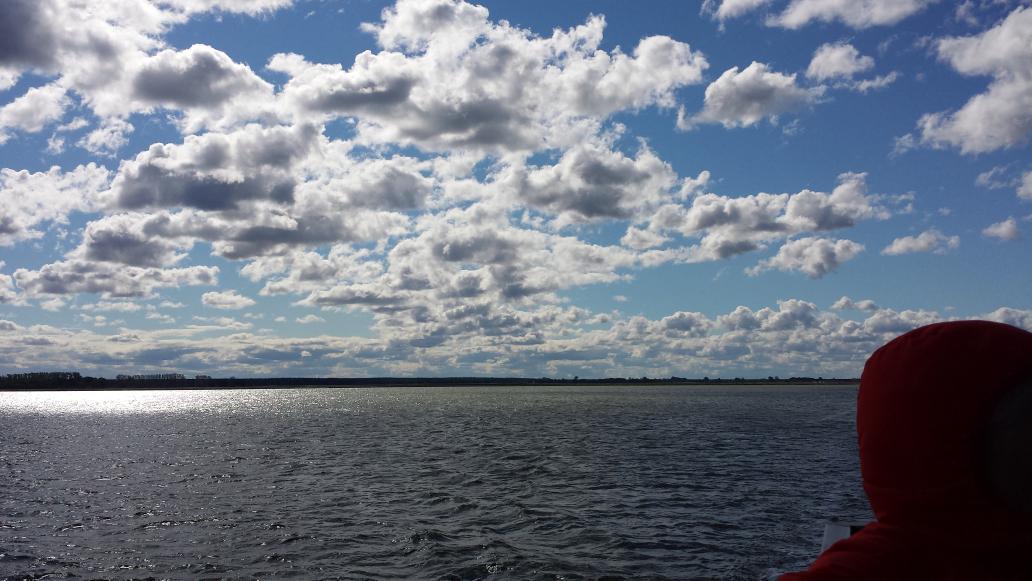 RolandDuerre's tweet photo. Impressionen von der #Radfahrt zum #PMCampBER über #Stralsund. Jetzt in #Barth Fisch und Bratkartoffeln essen. http://t.co/fk1yO7rBLr