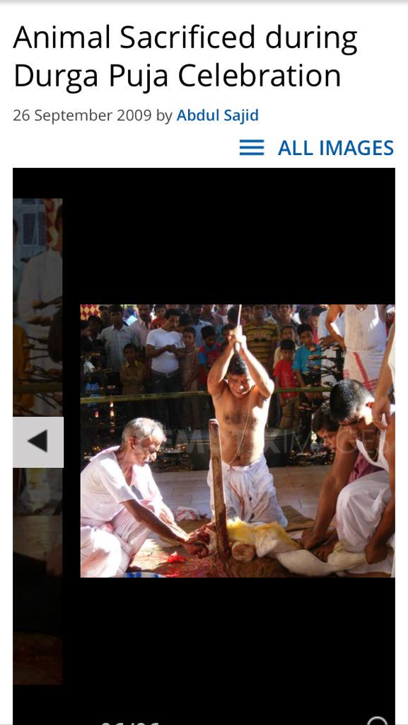 GettingsMike's tweet photo. Urge @PetaIndia to initiate BAN of this in #AssamTemples #saveanimals #AnimalRights #AnimalAbuse @SaveKeralaDogs http://t.co/B8DIXs25up