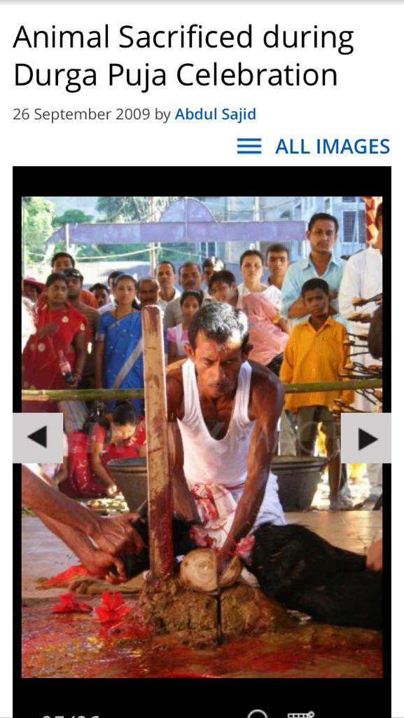 GettingsMike's tweet photo. Urge @PetaIndia to initiate BAN of this in #AssamTemples #saveanimals #AnimalRights #AnimalAbuse @SaveKeralaDogs http://t.co/wK6BdOOc6U