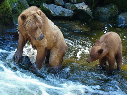 Tomorrow! Sunset Safari at Sedgwick County Zoo ow.ly/R4fZj