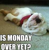 PrettyThingsWF5's tweet photo. Is #monday over yet? #evolvingwakefield http://t.co/2vPrky9DRu