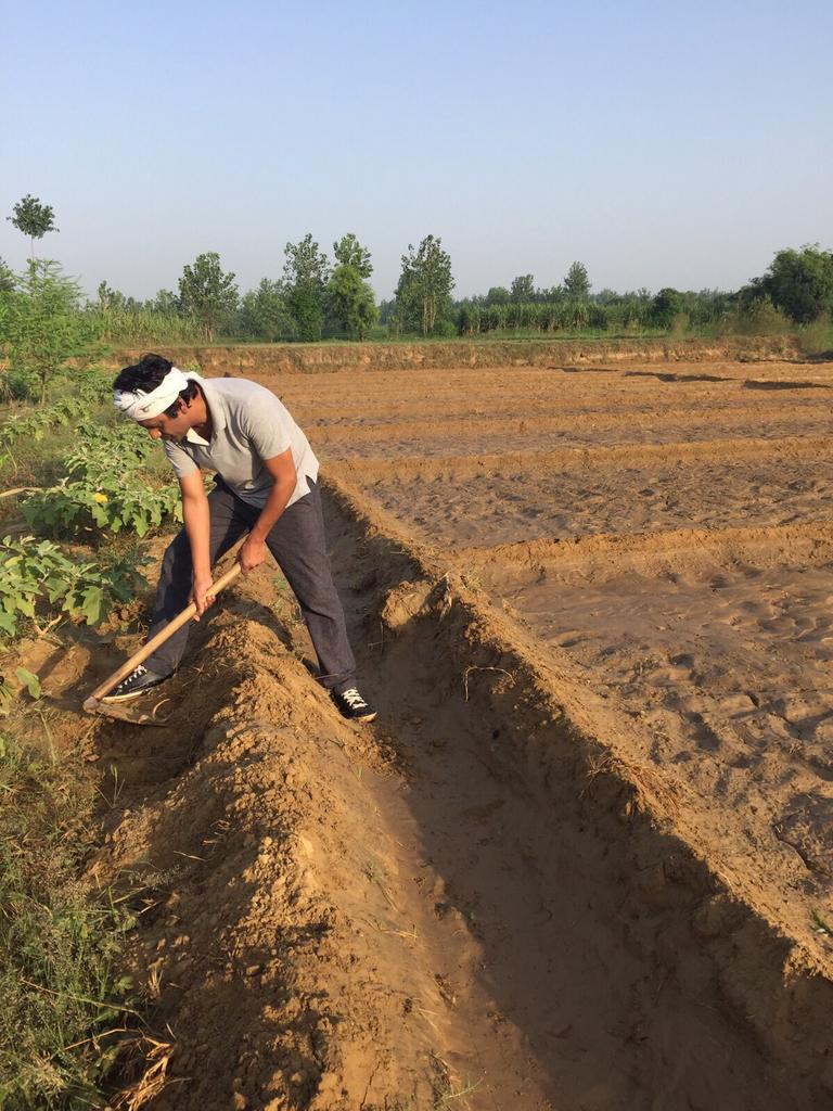 Nawazuddin_S's tweet image. Working at home in the field....Now days its rare but always love to contribute.