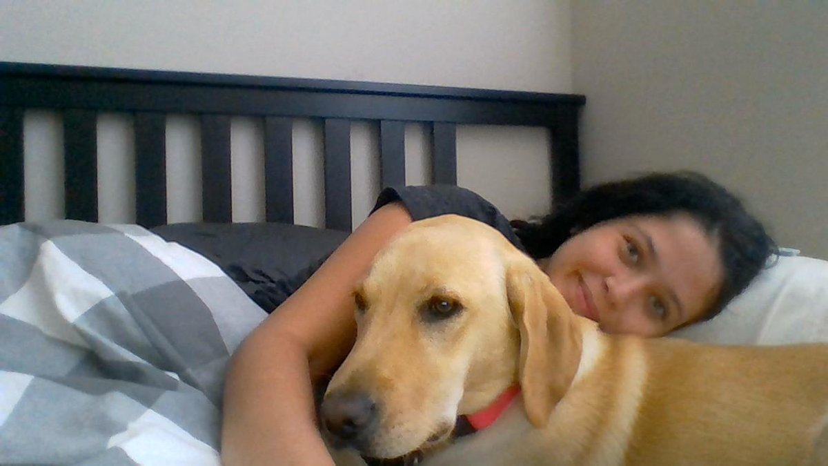 HeatherAhles's tweet photo. Missing one of my favorite snuggle buddies, #EmmaTheDog on this rainy #LabourDay! #Eckerd328 http://t.co/oY00TwnCPE