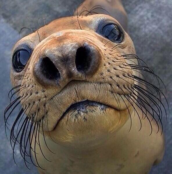 TheComedyHumor's tweet photo. kids be like "u got games on ur phone?" http://t.co/KTXSJftLqL