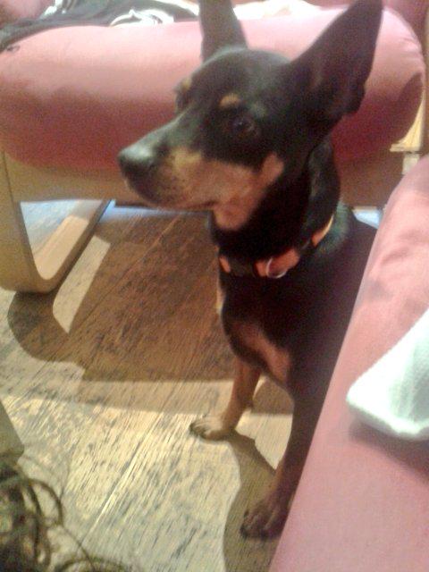 RachelG_13's tweet photo. En Mordor. Zeus BFF. @manupro09 #orco #reencuentro #valeoc #risas #memeo #mevaadenunciar http://t.co/o8SpwKQklG