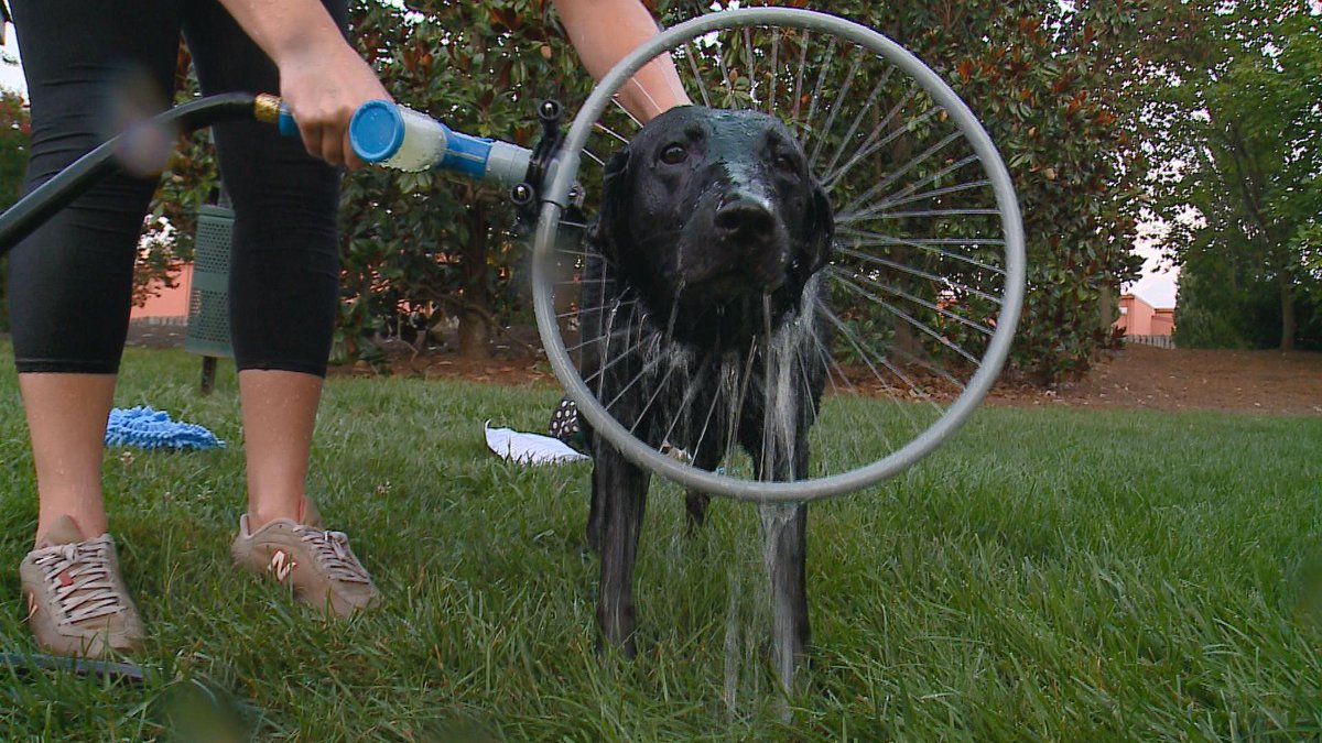 dickinsonliv's tweet image. 2WTK does a #2Test with the #WoofWasher360. WATCH: on.wfmy.com/1PQR87Z