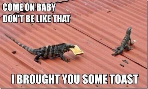 aaronscustomco's tweet photo. The solution to all relationship problems http://t.co/OytM2kDZVf http://t.co/J3HNMfxFW4