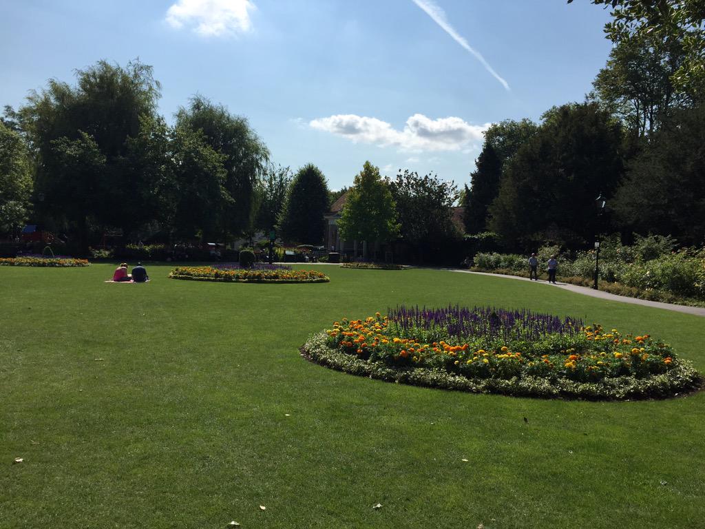 King_Alf's tweet image. It's a beautiful day in #Winchester and a toasty 20 degrees #IndianSummer