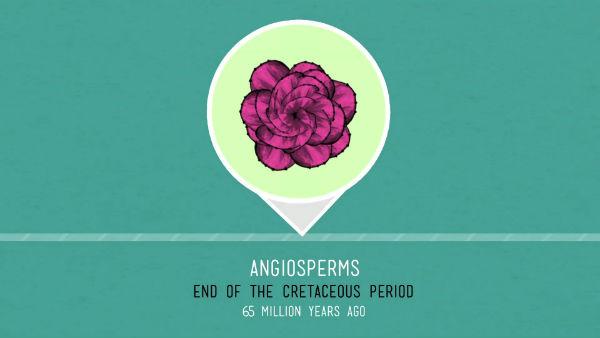 madefrombiology's tweet photo. Plant Cells: The Incredible Power of Nature http://t.co/WVk2BJDP2U #biology http://t.co/e5RGPwZdi9