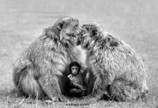 dazzlingwild's tweet photo. Beautiful Family Portrait. http://t.co/7KmCGqwx9f