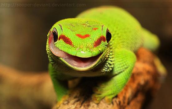 dazzlingwild's tweet photo. Is He Laughing At Me? http://t.co/q5YsXrSfB8