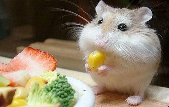 dazzlingwild's tweet photo. Haha, This Makes Me Laugh. What About You? http://t.co/bdB8bsml5Q