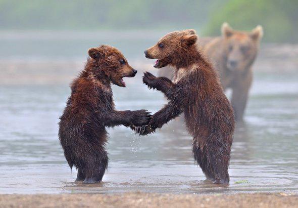 dazzlingwild's tweet photo. Gimme five. http://t.co/4RkDXIGGgt
