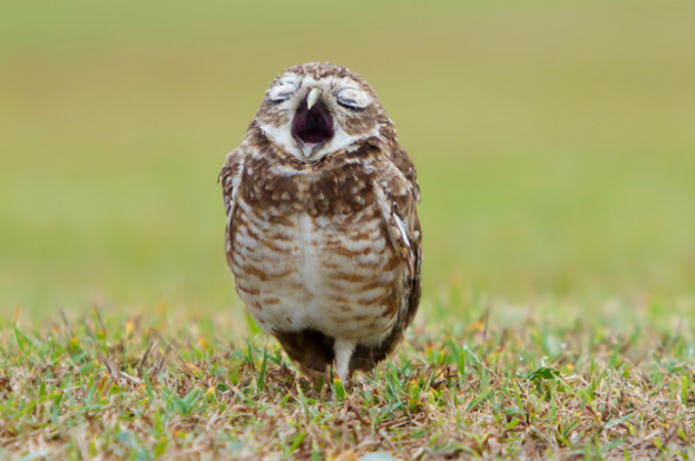dazzlingwild's tweet photo. Booooooring! http://t.co/9mn4KDCwJm
