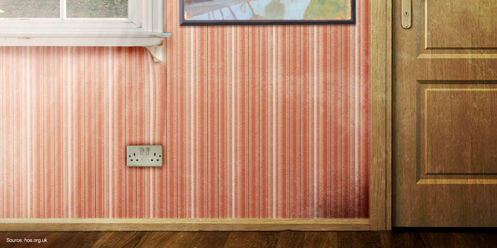 HSBC_UK's tweet photo. On average, people spend 20 minutes viewing before buying a home. Can you spot the three things to look out for? http://t.co/bGs2XLpwb6