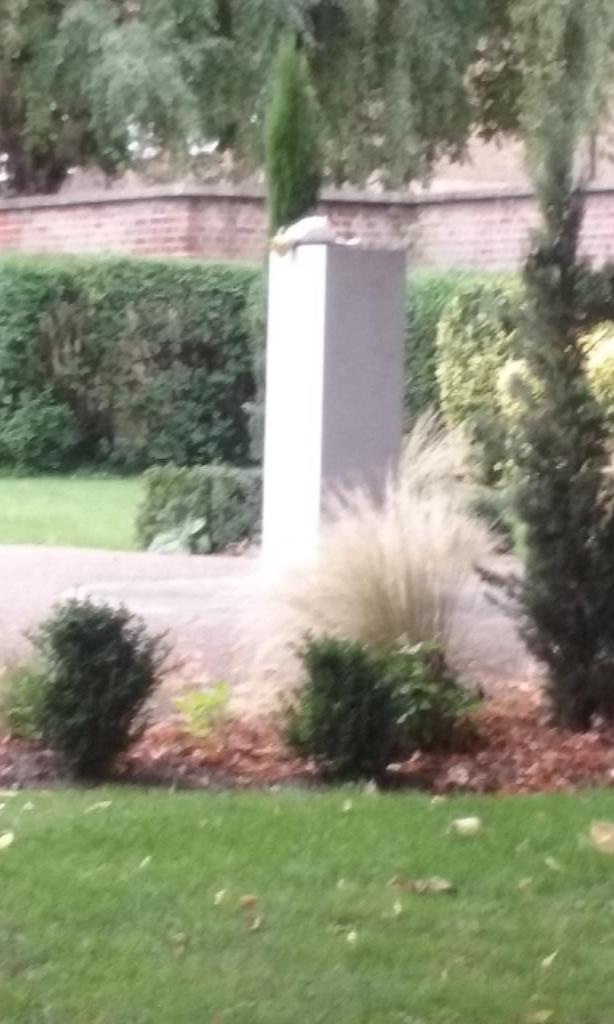baulk_david's tweet photo. @Izharhassan @juliacfowler @ICO2teambuild @CarlChapman15 http://t.co/AfmFUXilCI