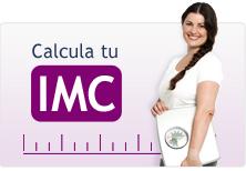 Enlace permanente de imagen incrustada