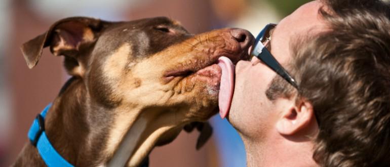 CroquetoEdoMex's tweet photo. Los mejores momentos son a lado de tu cachorro. ¿O no? #CroquetoMex http://t.co/6UFiDkbQAo