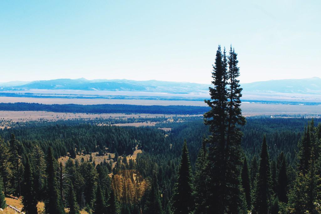 carekucera's tweet photo. Amphitheater lake, Grand Teton national park••• 9/6/15 http://t.co/5uMARcLgdc