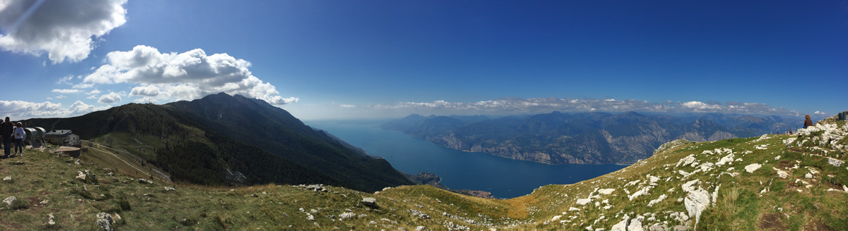 Dave Rees tweet media