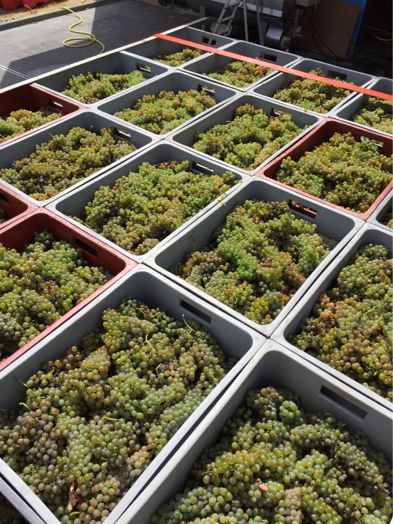 Graeme Bott tweet media