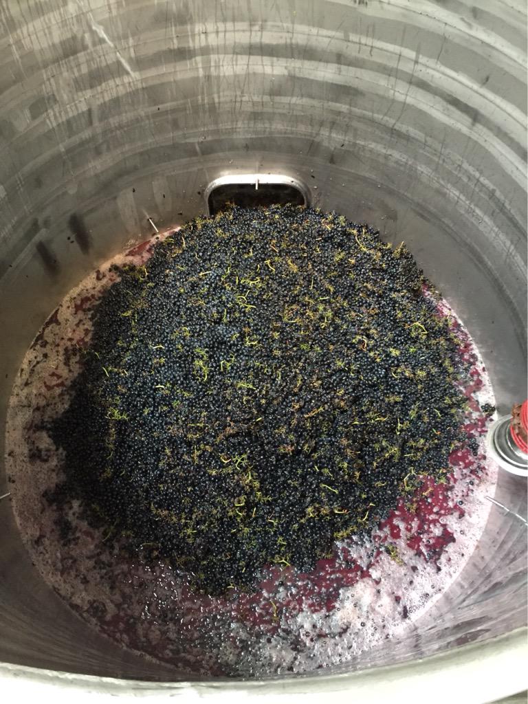 Graeme Bott tweet media