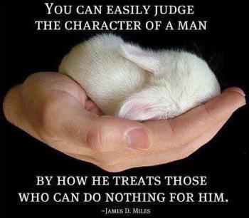 _AnimalAdvocate's tweet photo. My #MondayMotivation is to have a #FridayFeeling everyday?
I achieve it by showing #compassion every day❤️
Be #Vegan http://t.co/kV548ZmPq0