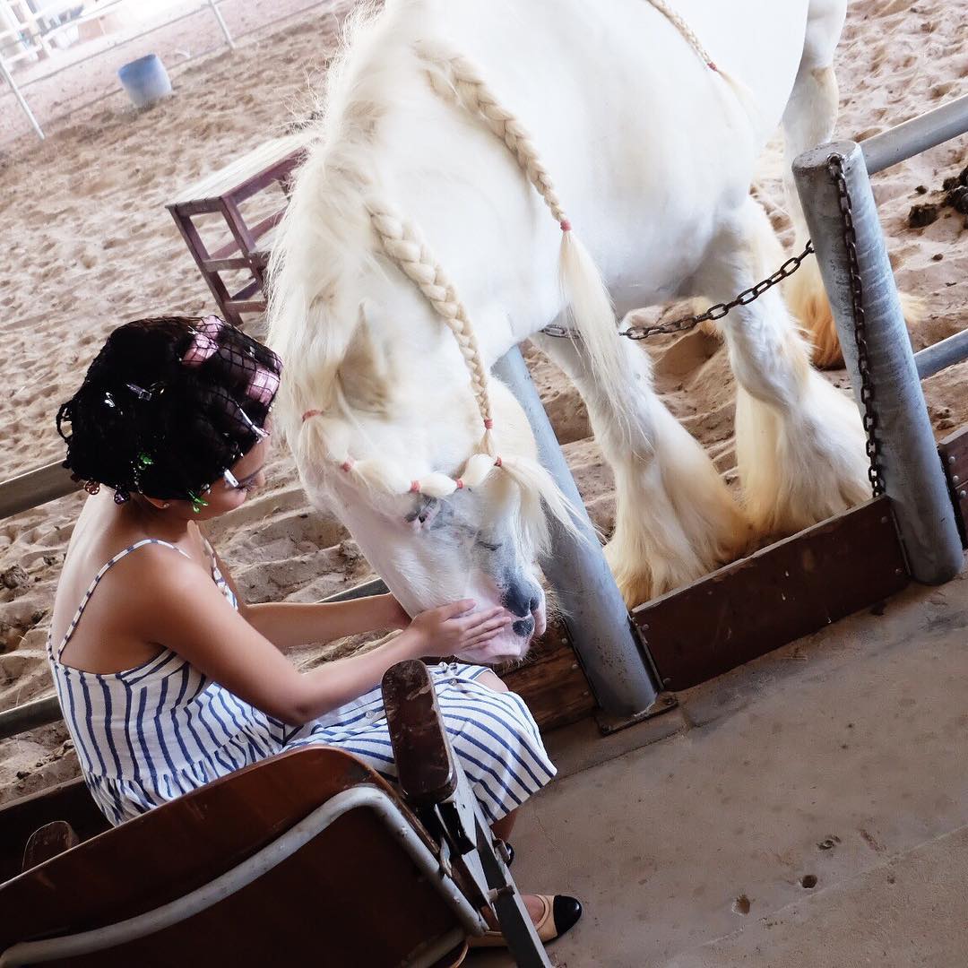 hannahxrove's tweet photo. Animal Lover 🐴 #PSYBringItOn http://t.co/tCdbHOxcat