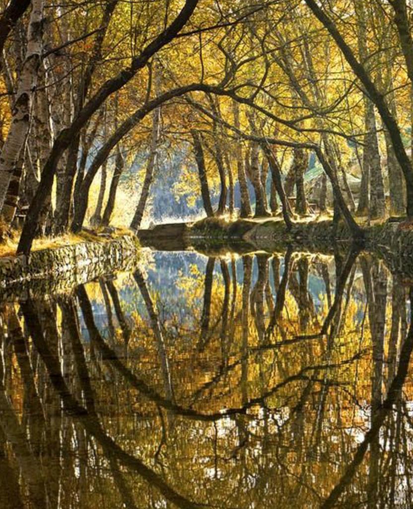 CHarpke's tweet image. #riverreflection